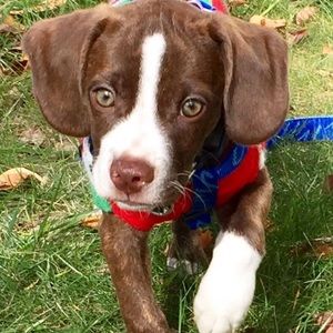 Meet your Posher, Anne